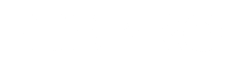 FLIRPRO
